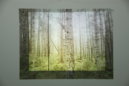 Forest Geometry - Diandra Saginatari